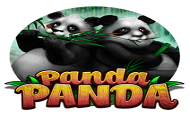 panda-panda-habanero