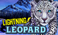 lightning-leopard