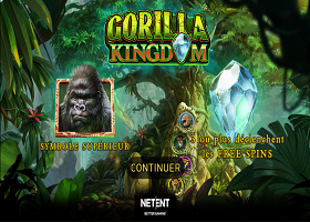 gorilla-kingdom-fonctionnalite