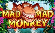 madmad-monkey