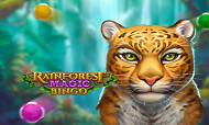 rainforest-magic-bingo