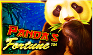 pandas-fortune