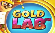 gold-lab-quickspin