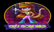 cats-gone-wild-spinomenal