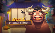 bull-in-a-china-shop