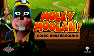 yggdrasil-gaming-jeu-moley-moolah